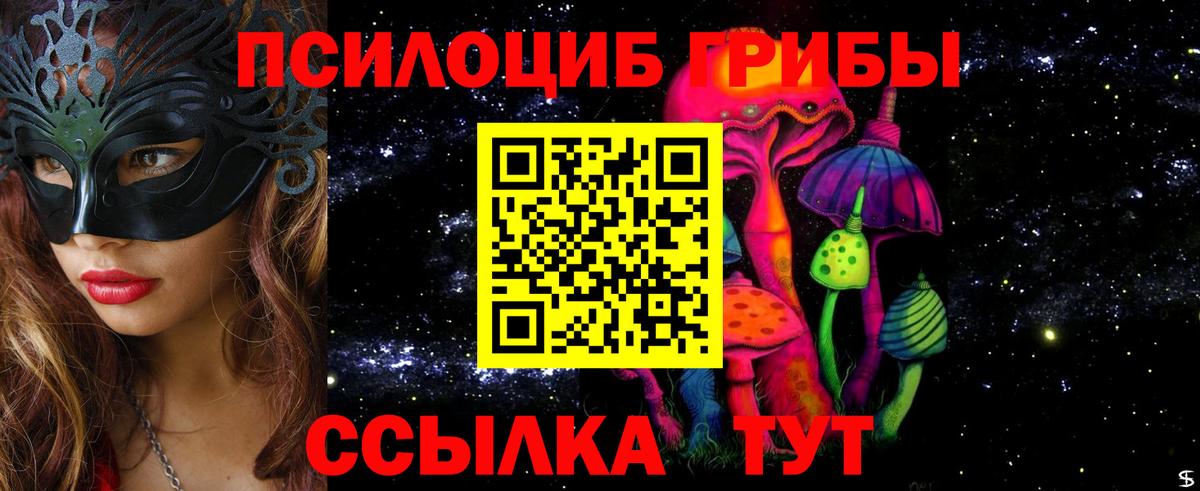 Псилоцибиновые грибы Magic Shrooms  Галлюциногенные грибы Psilocybe  Вход с VPN  Губаха 